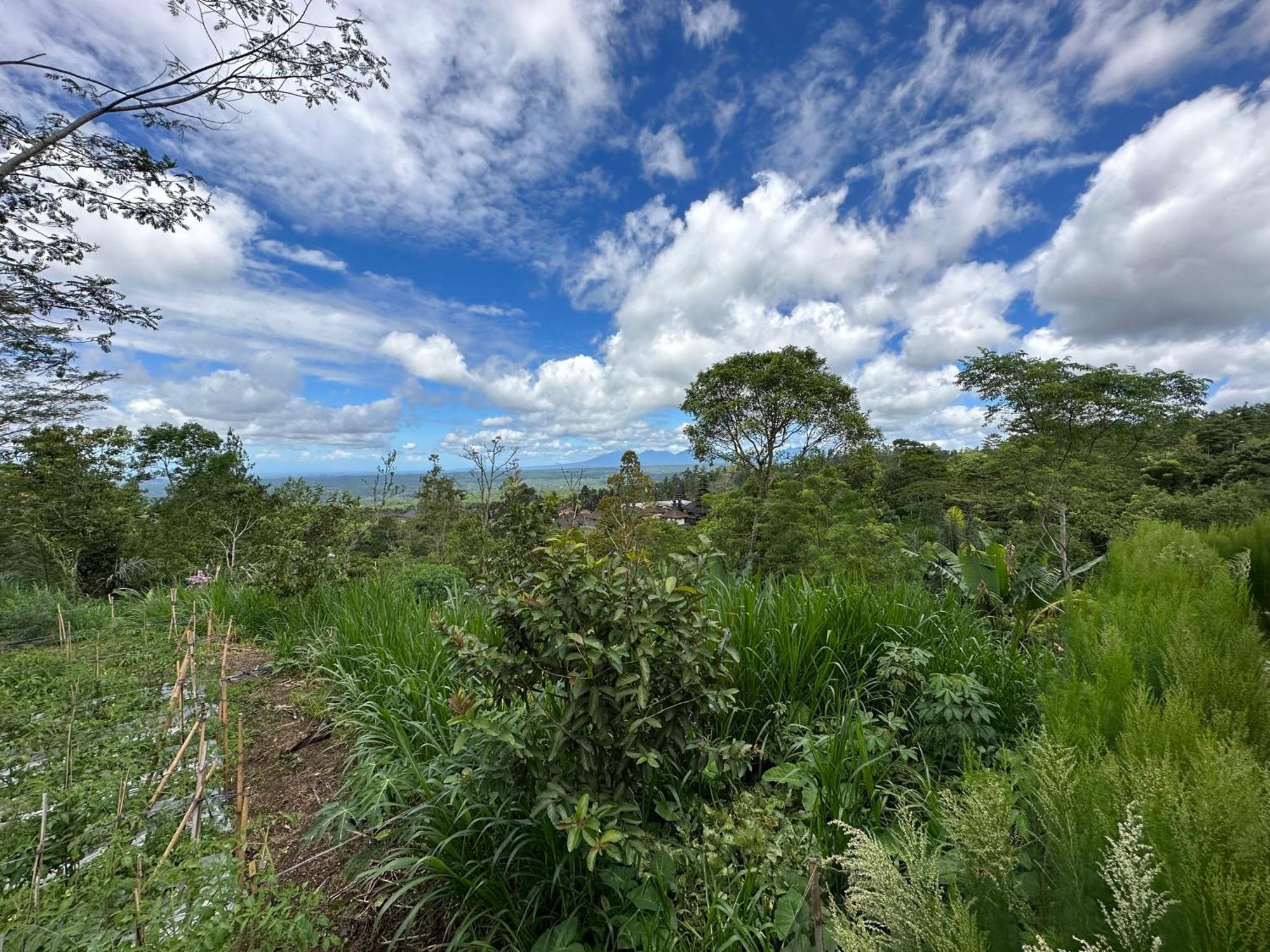 Besakih Bali Basuki Retreat Center 아파트 외부 사진