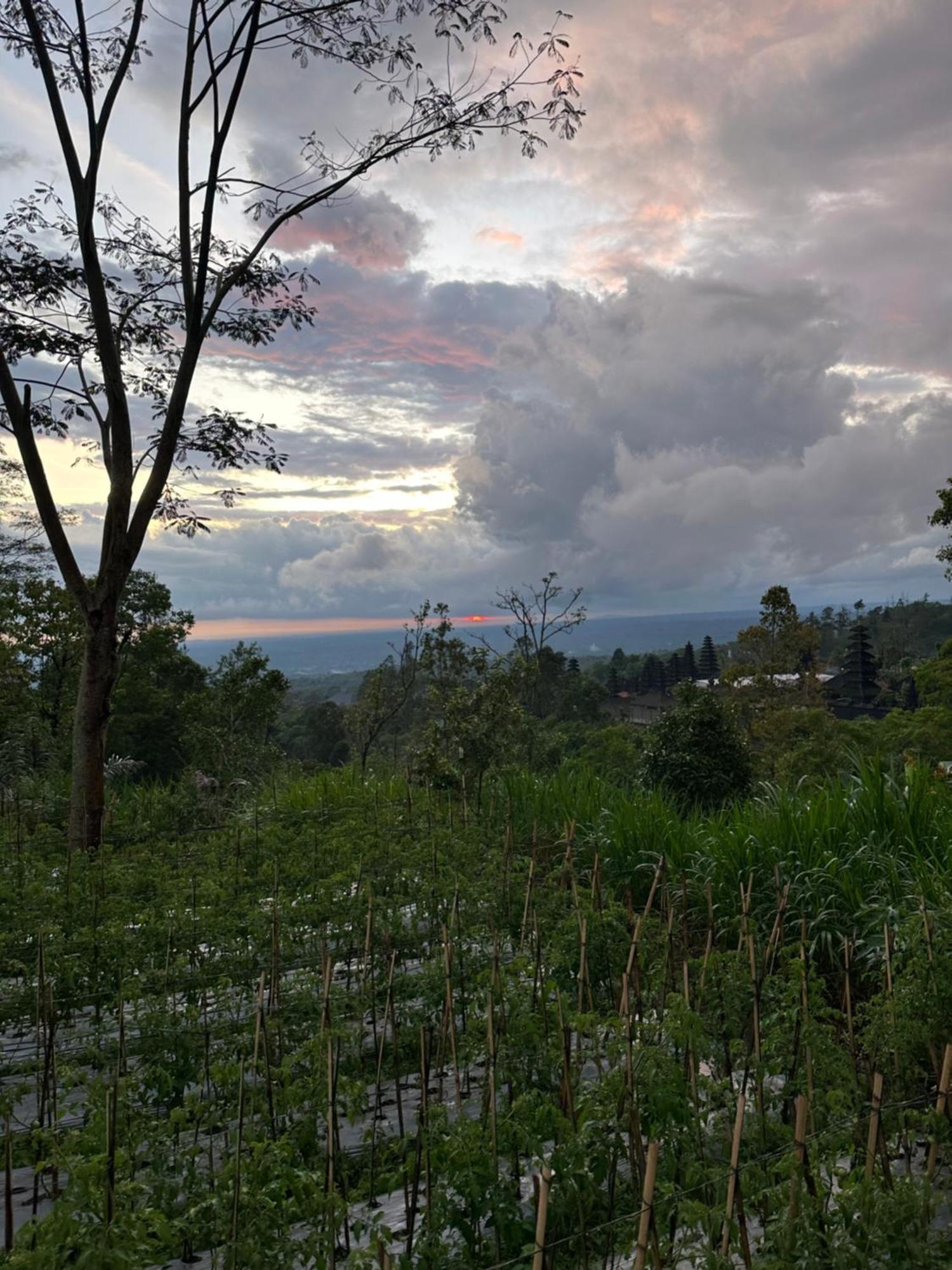 Besakih Bali Basuki Retreat Center 아파트 외부 사진